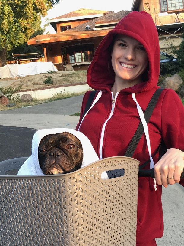 ET frenchie style