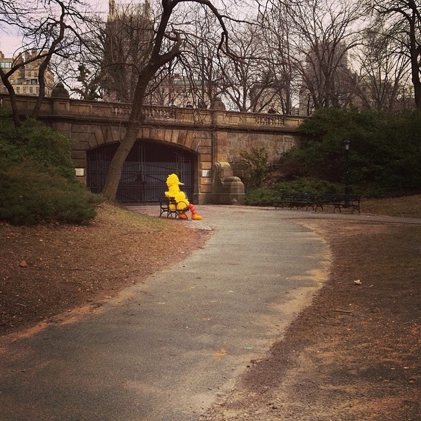 Even Big Bird needs to be alone sometimes