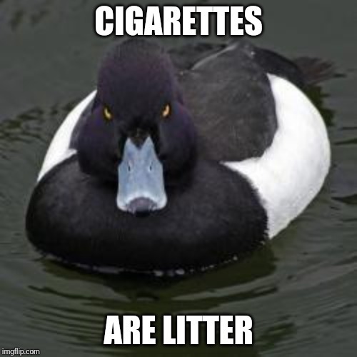 Even people who would otherwise never litter seem to have no issue throwing their cigarette butt on the ground out their window etc