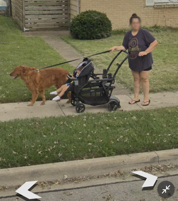 Even the dogs face got blurred out for anonymity