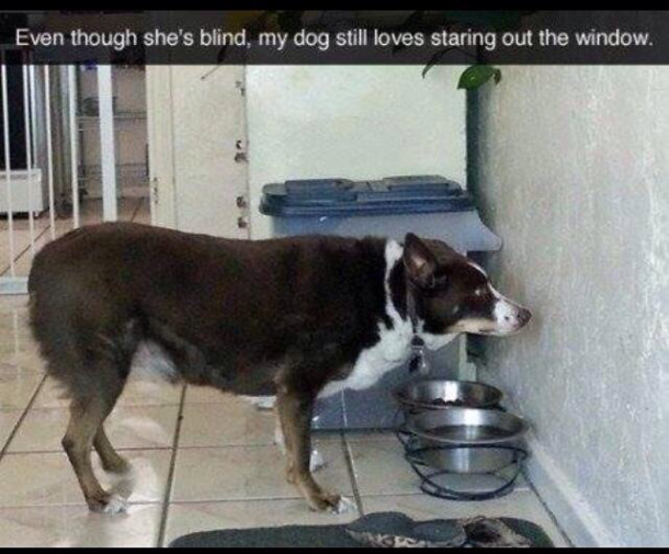 Even though shes blind