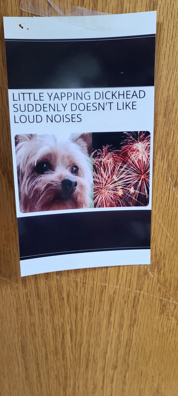Even veterinarians are tired of their crap