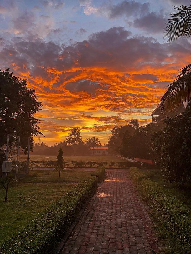 Evening view of a nearby park of my hometown PatnaIndia