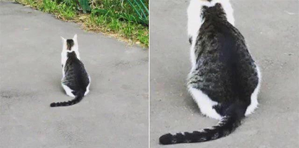 Ever get that feeling you are being followed