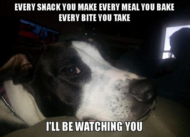 Every Bite