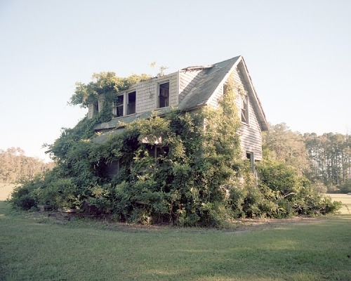 Every Canadian house once cannabis is legalised