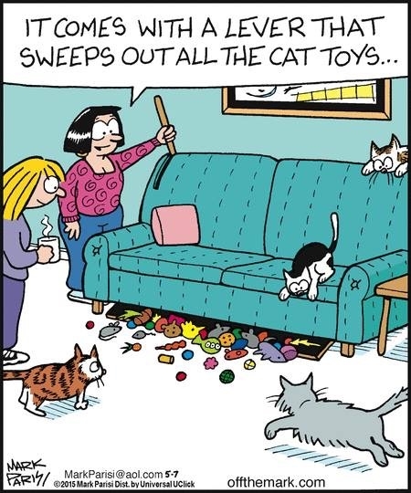 Every cat owner needs this