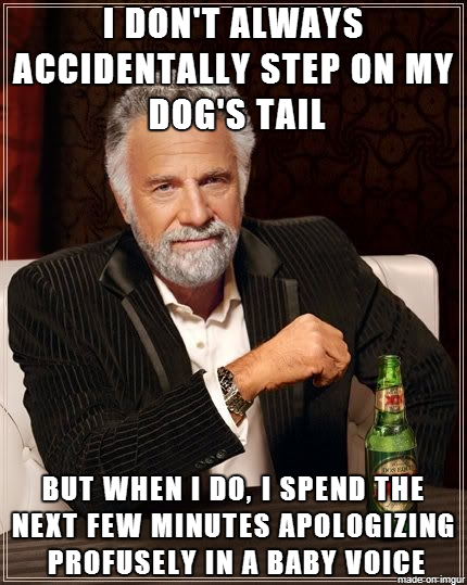 Every damn time