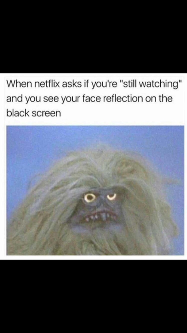 Every damn time