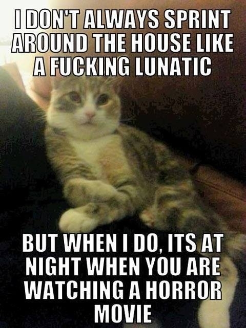 Every damn time