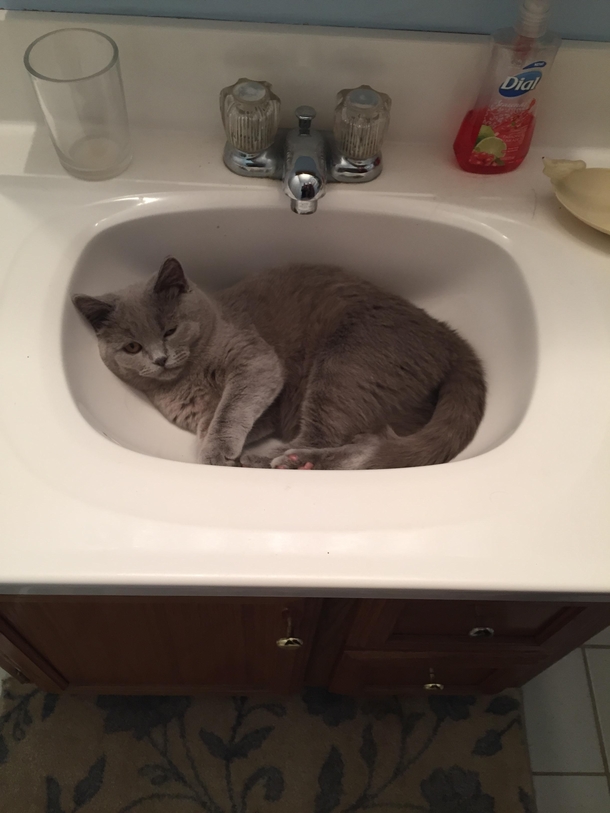 Every damn time someone goes into the bathroom they complain about to much hair in the sink