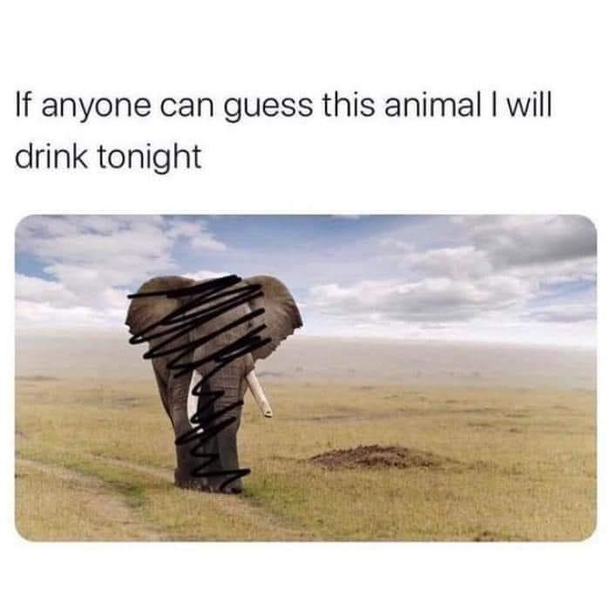 Every day