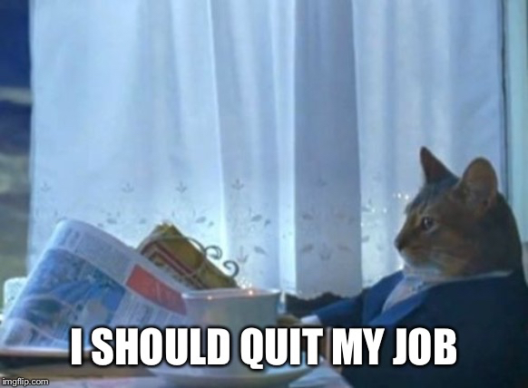 Every day I go to work