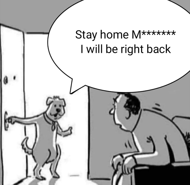 Every dog has its day