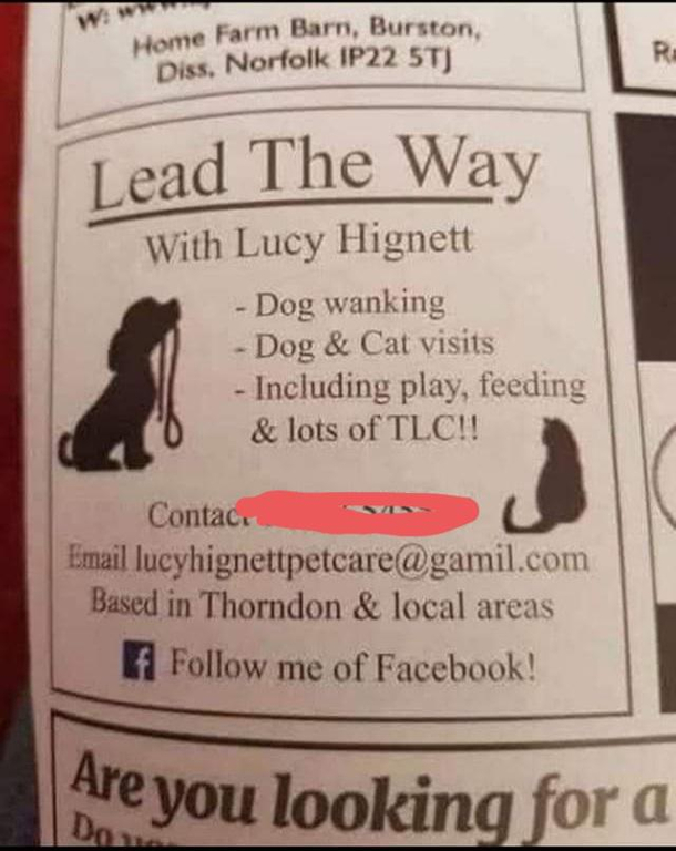 Every dog walk has a happy ending