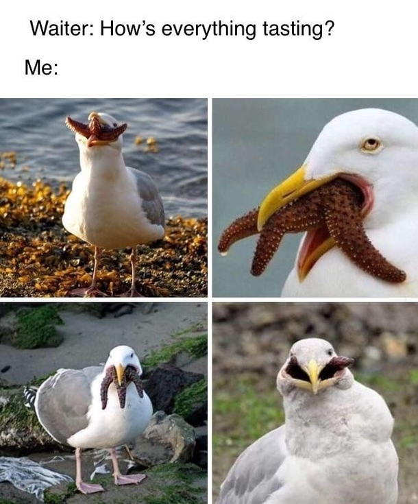 Every freakin time