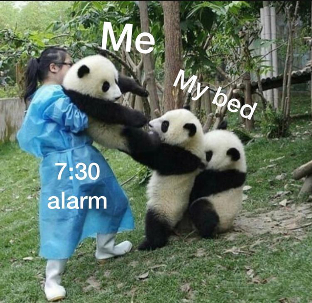 Every morning