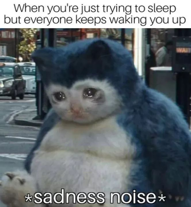 Every morning man this sucks this should stop please 
