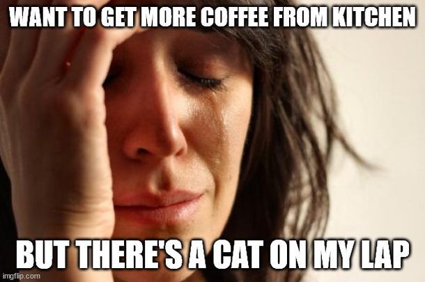 Every morning the struggle is real