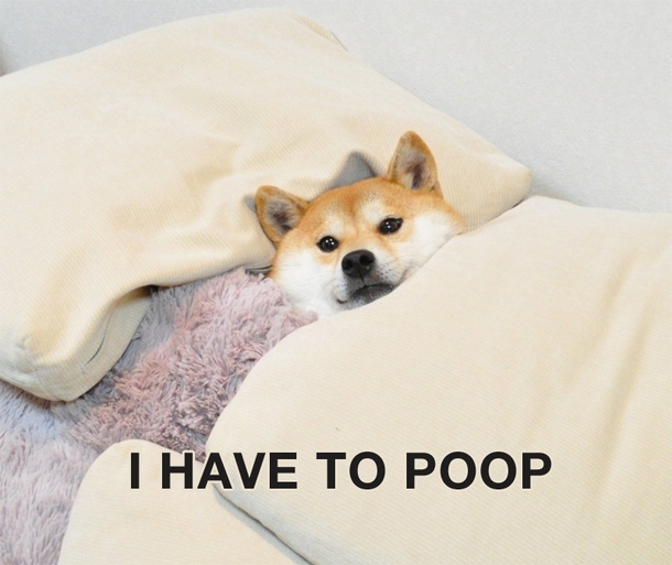 Every night as soon as I get into bed