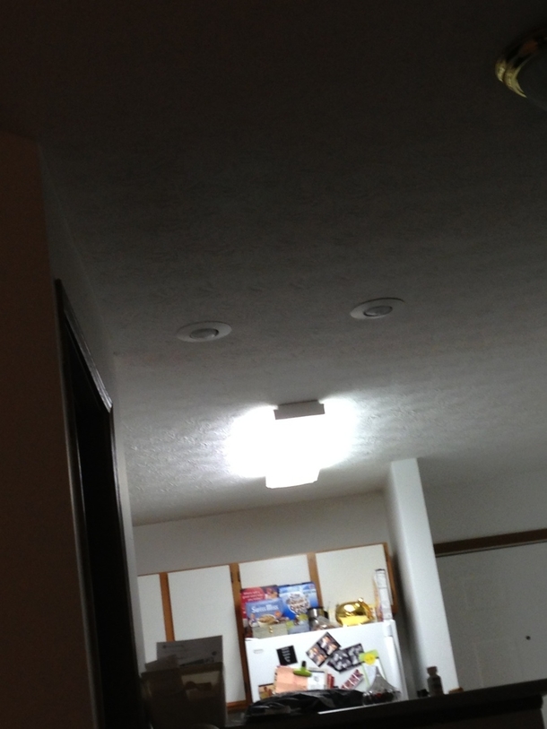 Every night I lay on the couch and look at this stupid rabbit staring back at me