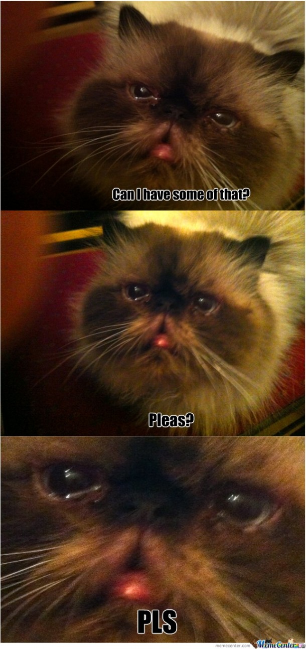 Every singel morning
