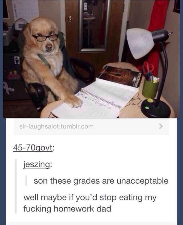Every thing about this picture cracks me up