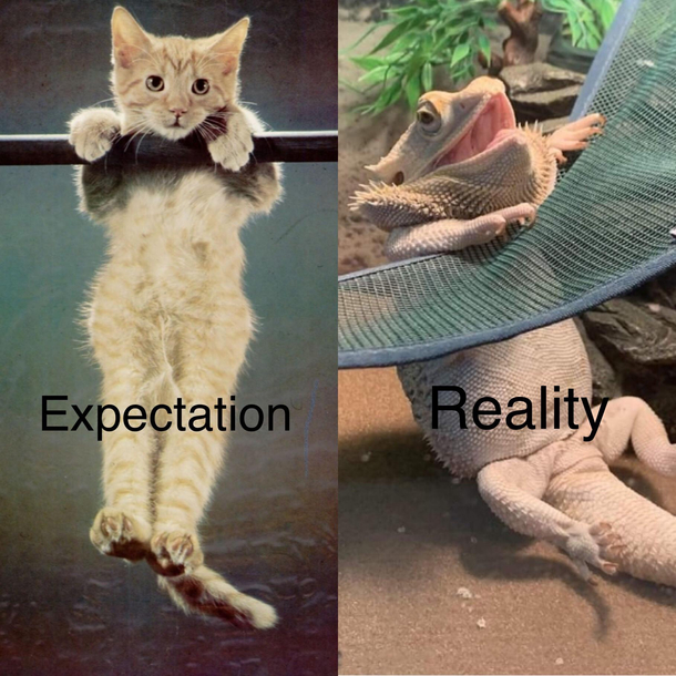 Every time