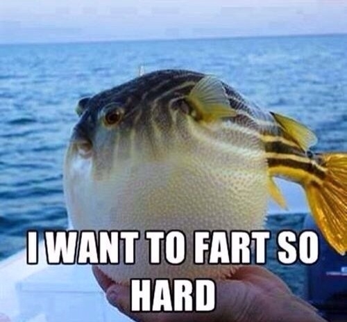 every time a girl spends the night