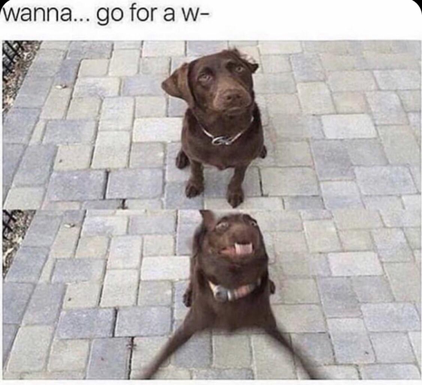 Every time I ask