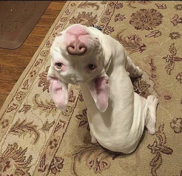 Every time I call Williams name