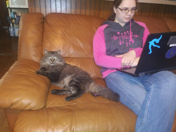 Every time I get up he sits in my spot just like that I half expect him to start asking me to bring him a beer while Im up
