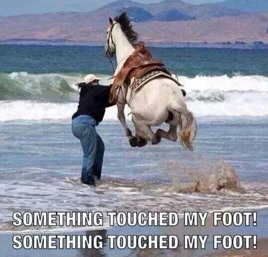 Every time I go to the ocean