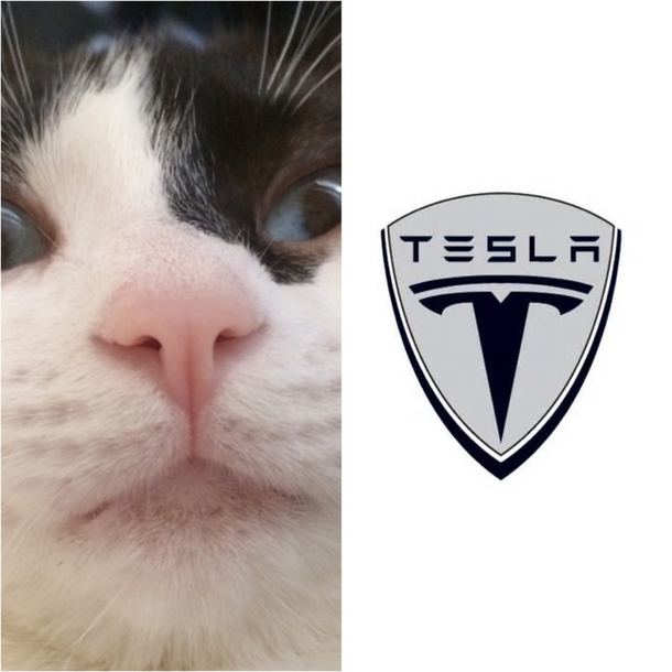 Every time I see the Tesla logo