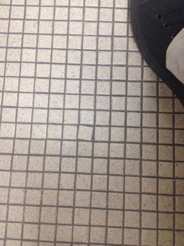 Every time I take a shit at work this tile hurts my brain