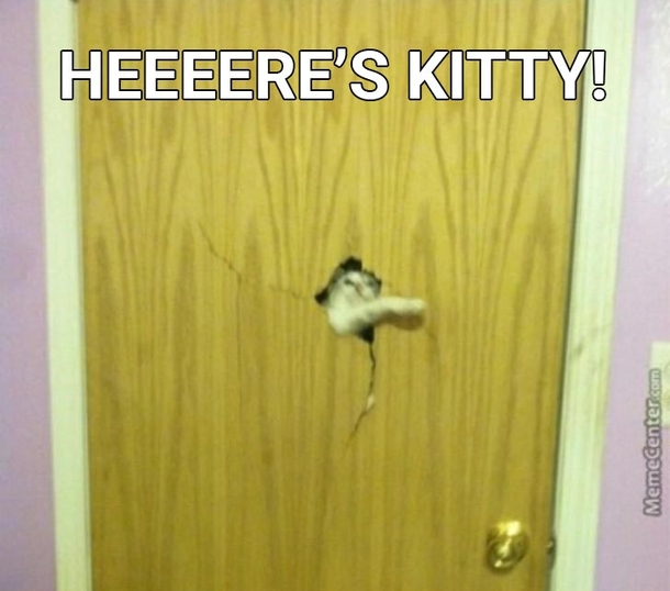 Every time Im in the bathroom its like The Shining with a psycho cat stalker
