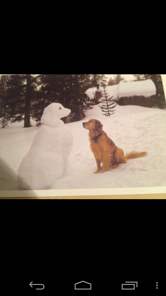 Every time it snows my uncle does this to his dog