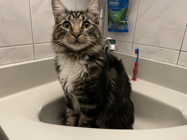 Every time Ive peed for  months since adoption