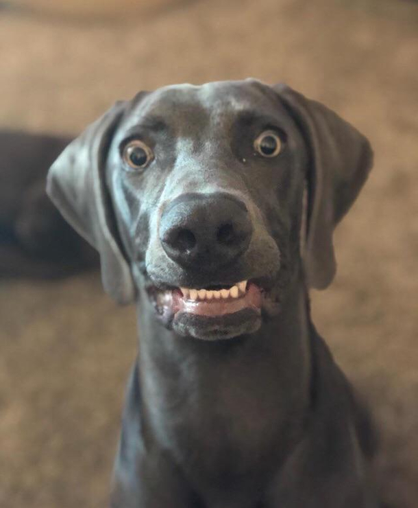 Every time we eat 