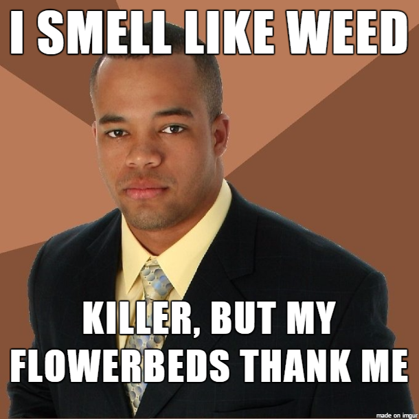 Every year around this time
