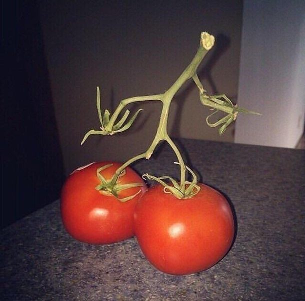 Everybody gangsta till the tomatoes start walkin