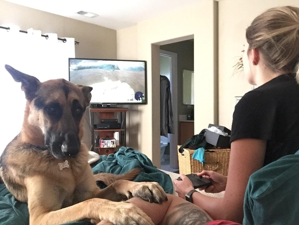 Everybody gets a little scared when mom gets frustrated with Breath of the Wild