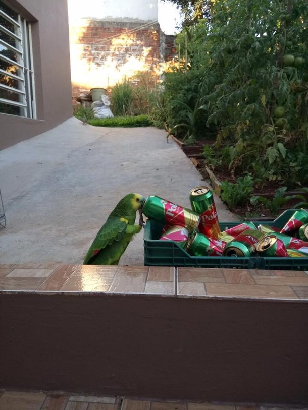 Everybody needs a beer