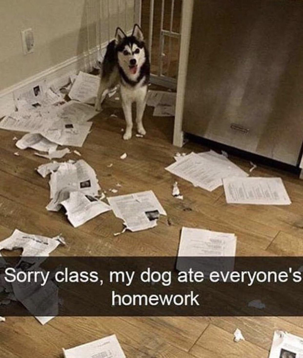 Everyone got an A anwyay