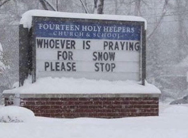 Everyone likes snow ri-