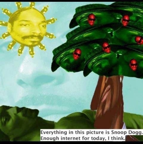 Everything in this picture is Snoop Dogg