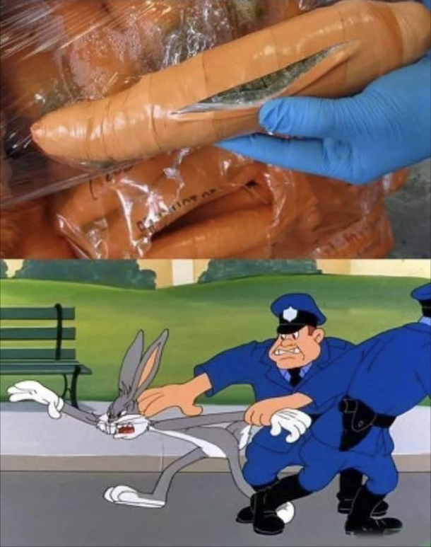 Everything makes sense