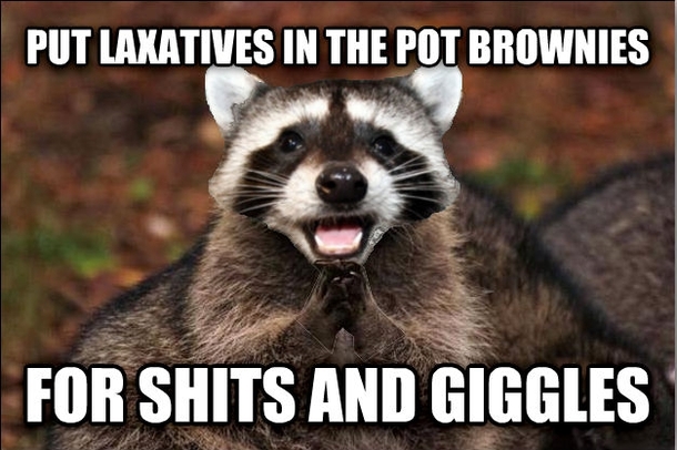 Evil Pun Coon