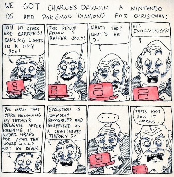 Evolution DS
