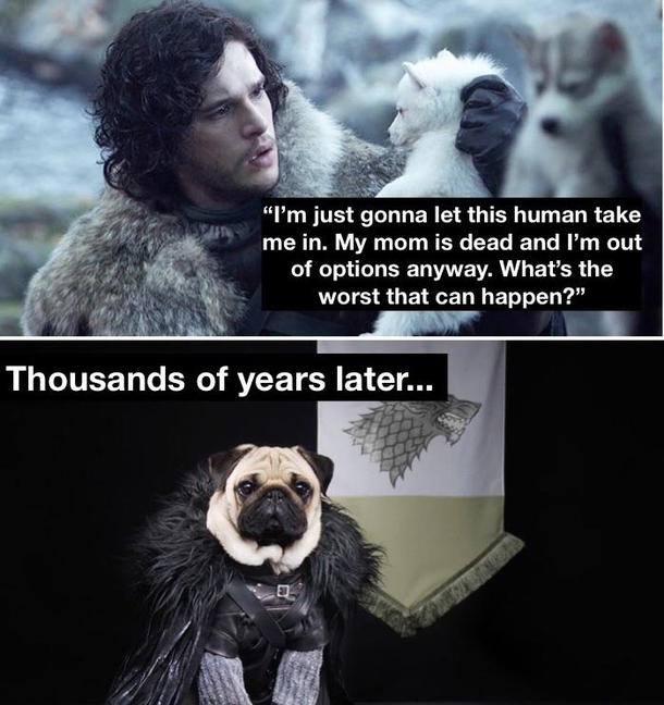 Evolution is a bitch